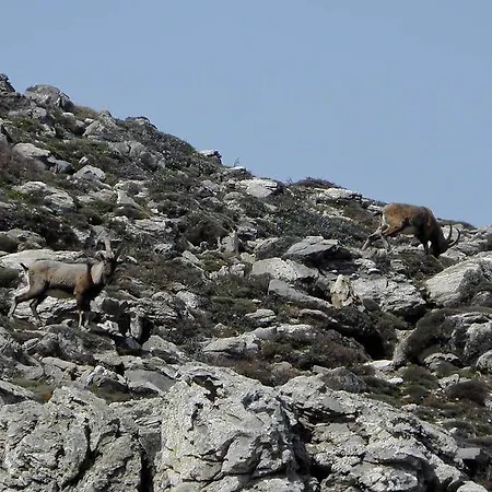 Lefkoritis Askifou Sfakia 2*