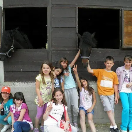 Hotel Lefkoritis Petres (Askyfou)